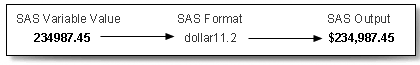 Variable and Formats