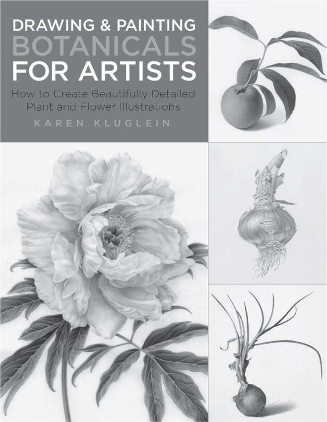 Other Titles in the for Artists Series from Rockport Publishers