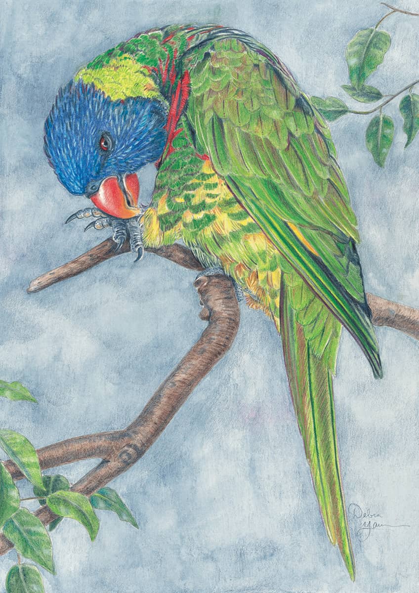 Realistic Animal Pencil Drawings | Pencil drawings of animals, Bird drawings,  Color pencil art