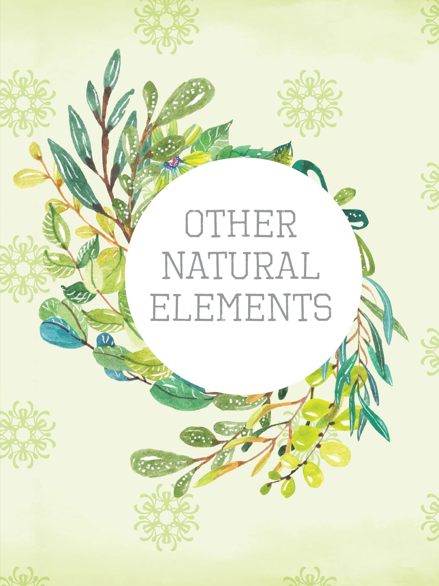 OTHER NATURAL ELEMENTS