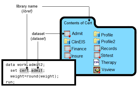 Two-Level SAS Name