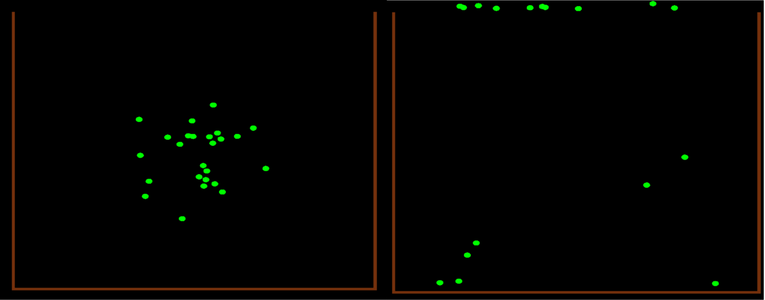 images/Diffuse/DiffuseSideBySide.png