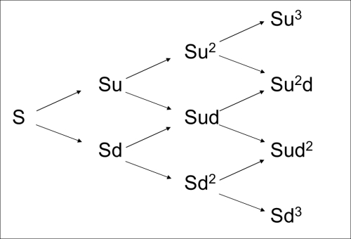 The Cox-Ross-Rubinstein model