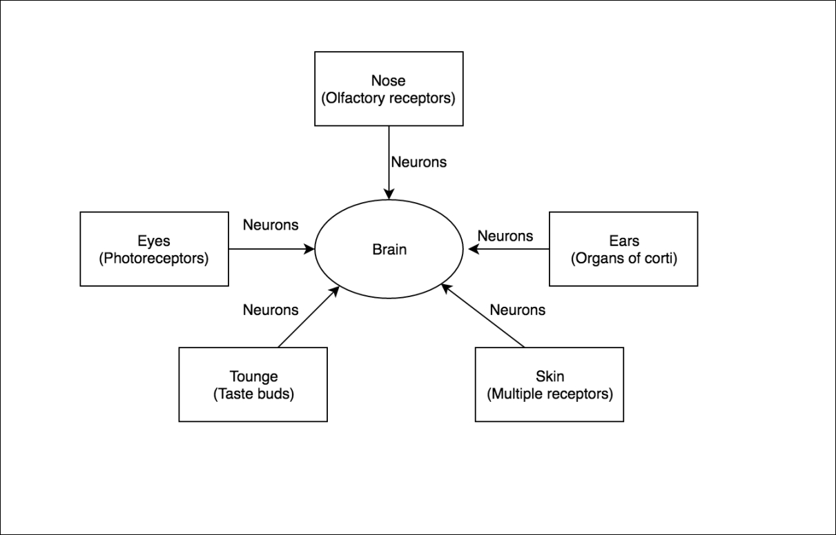 Demystifying microcontroller