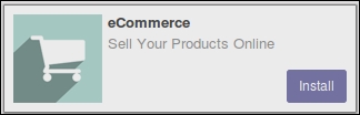 Installing Odoo e-commerce