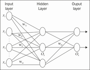 Classification using the backpropagation algorithm