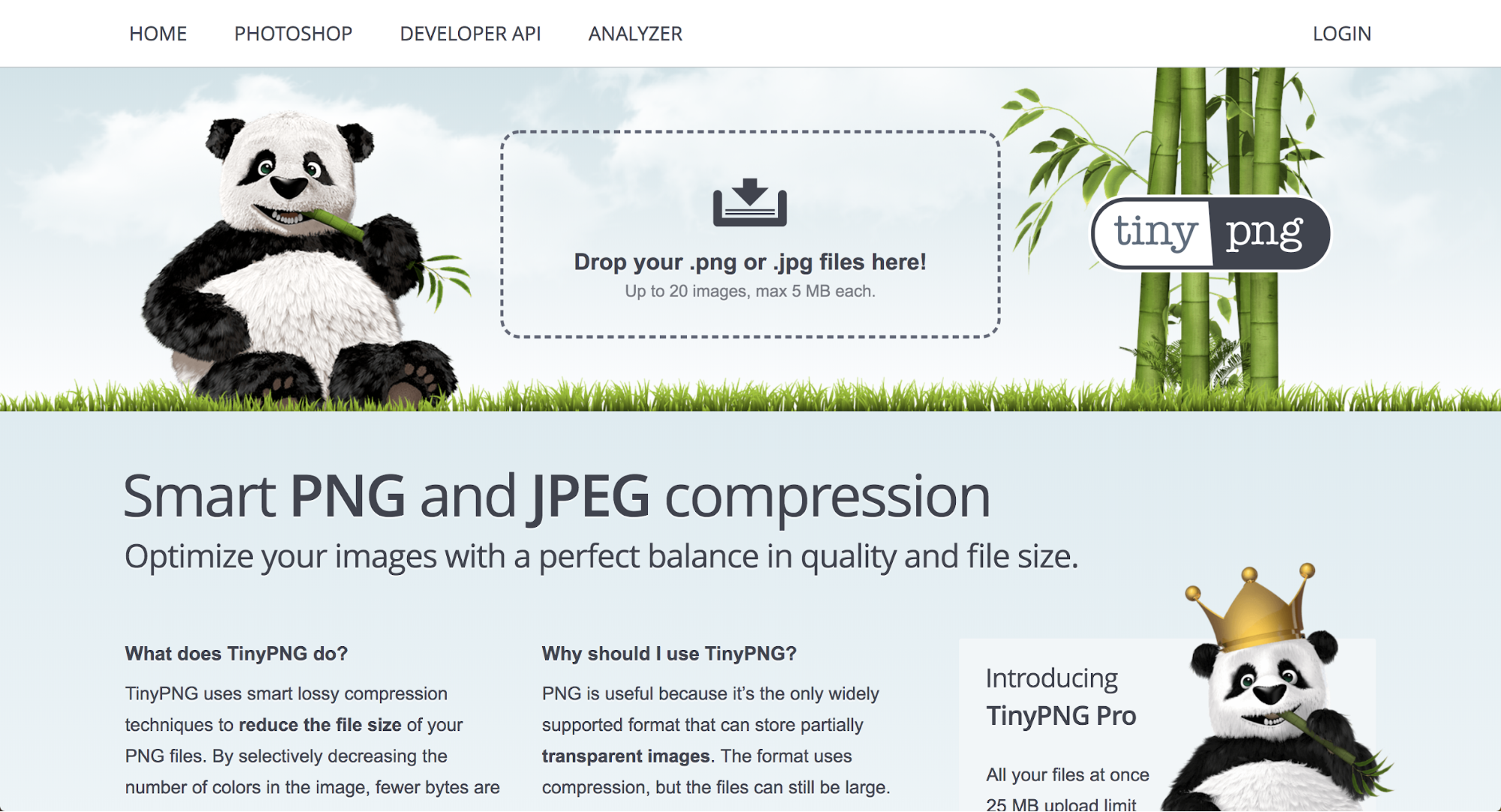 TinyPNG - Practical Web Design [Book]