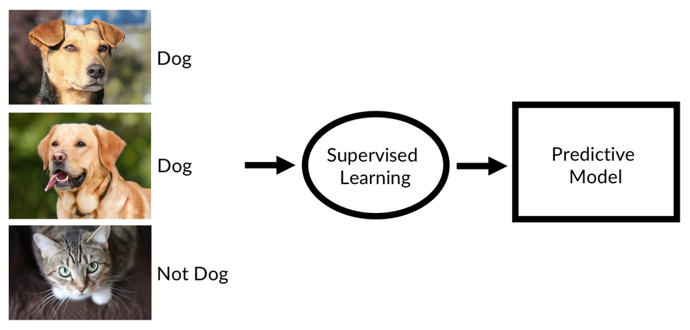 Supervised learning