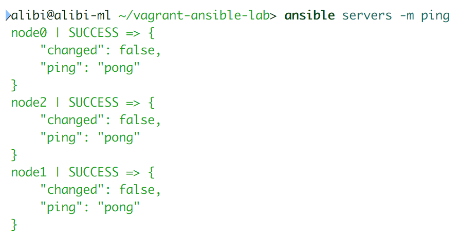 Ansible Ad Hoc Ping Example