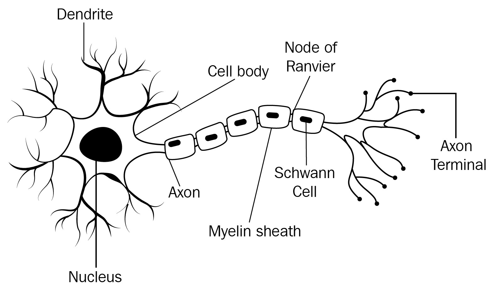 Meet NNs at their purest – the Perceptron - Hands-On Artificial ...