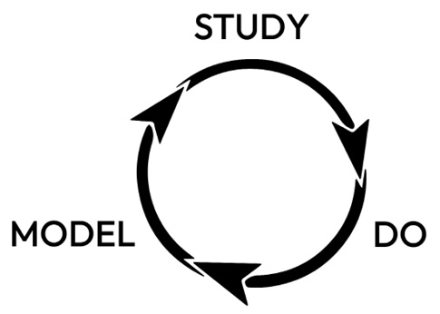 Figure 14.1 – Learning wheel (adapted from: “The Slight Edge,” page 192, Chapter 13, Learn from Mentors)