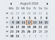 Darstellung des Monats August 2010 zur besseren Orientierung (aus Outlook 2010)