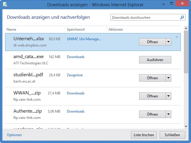 Der Download-Manager