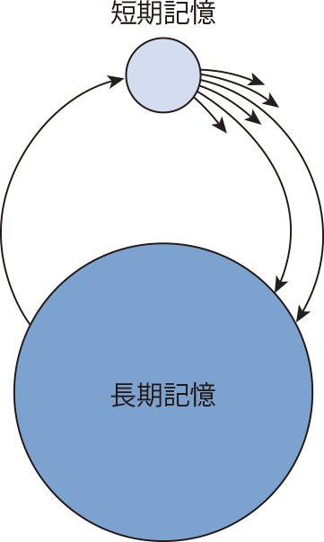 短期記憶は長期記憶よりはるかに小さい（図の比率は正確ではない）。短期記憶のかたまりのほとんどは、「スコープから外れる」と「消えて」しまう。だが、なかには長期記憶に移動して、長く残るものもある。長期記憶の内容は短期記憶に「ロードする」ことができる。RAMとハードウェアのように考えたくなるが、このメタファーはこれ以上広げないほうがよい