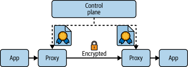 Diagram of encrypted mesh traffic.