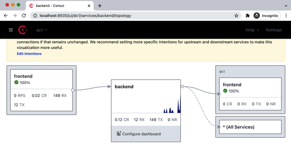 Image of the Consul UI's view for the backend service.