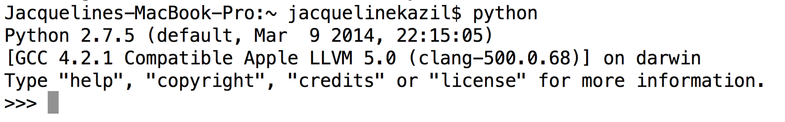 Python interpreter in Terminal