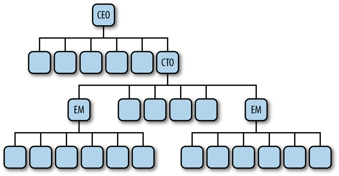 Typical reporting structure during transition stage