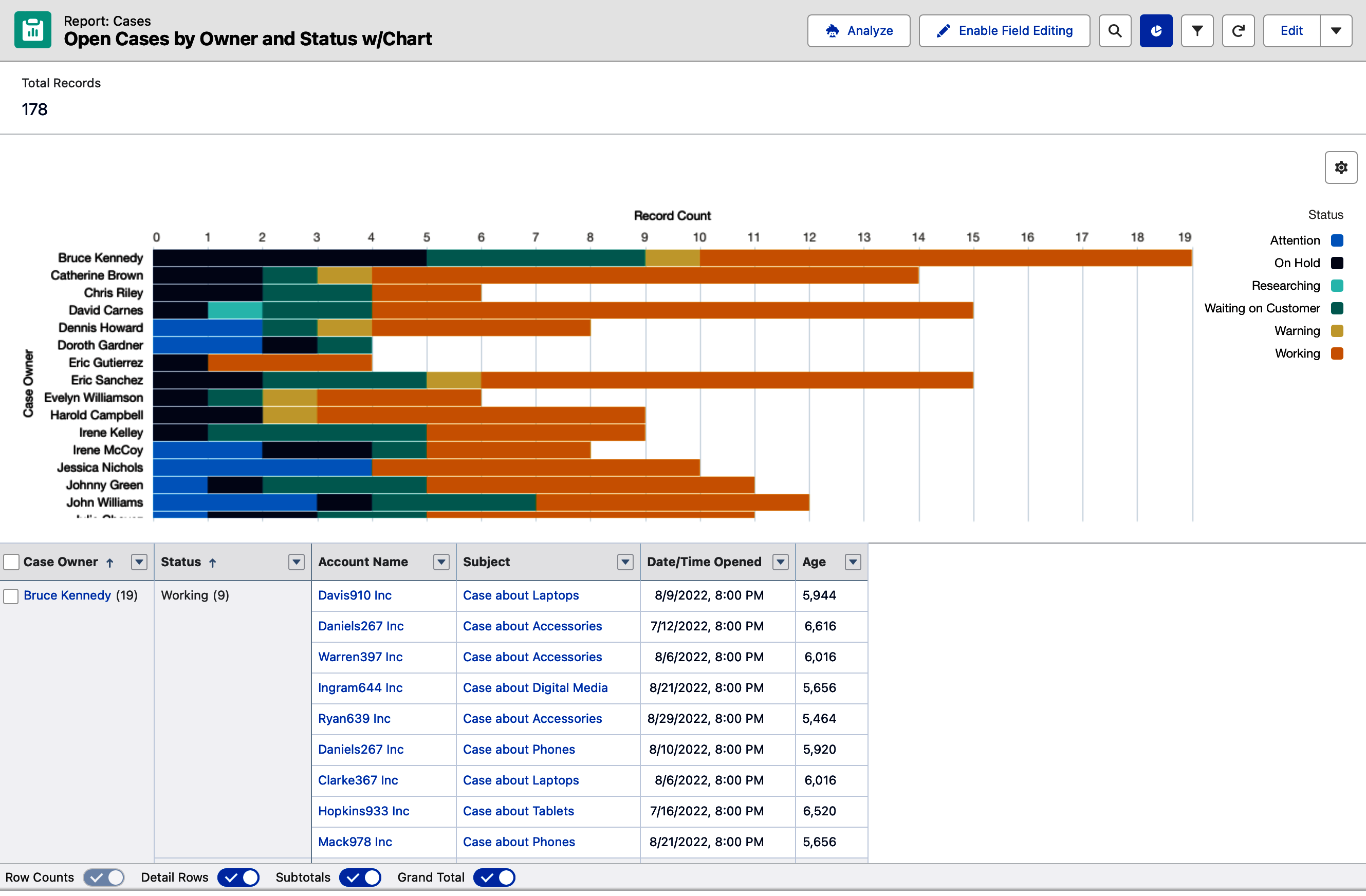 images/introduction/open_cases_by_owner_and_status_with_chart.png