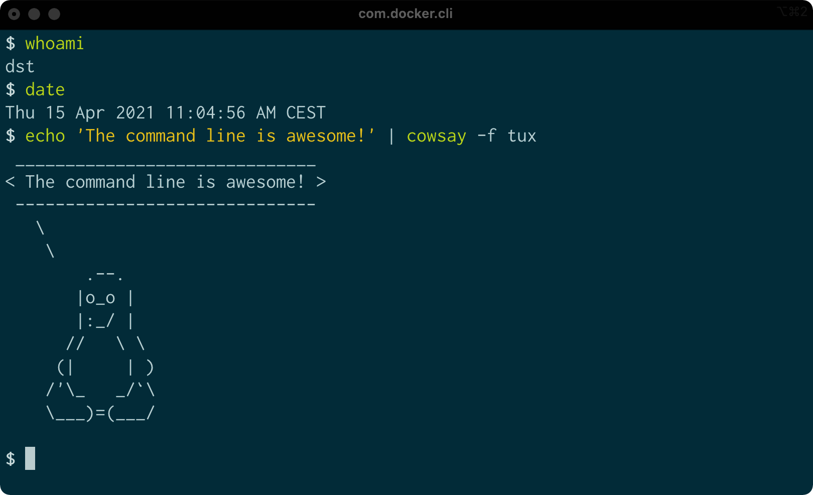 A screenshot of the command line window on Mac O S.