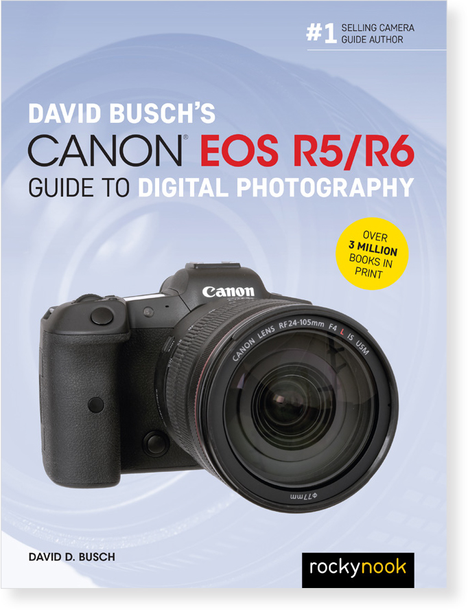 Want to Learn More About Your Camera? - Canon EOS R5: Pocket Guide [Book]