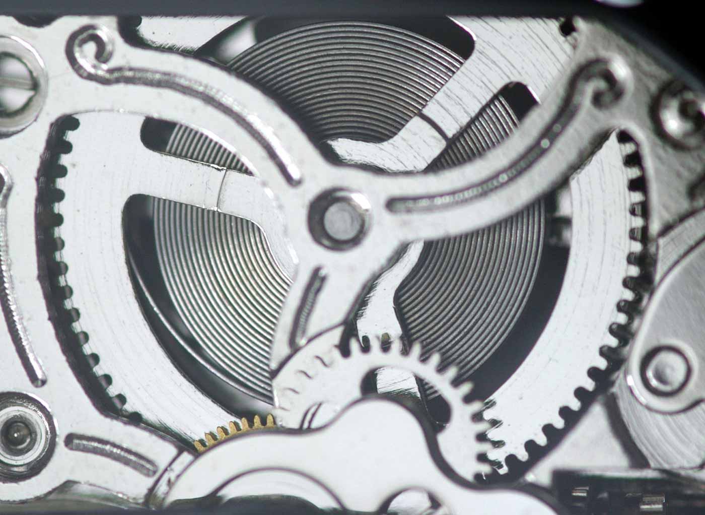 A mainspring in a Sea-Gull ST16 wristwatch movement.