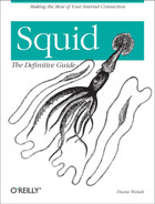 1. Introduction - Squid: The Definitive Guide [Book]