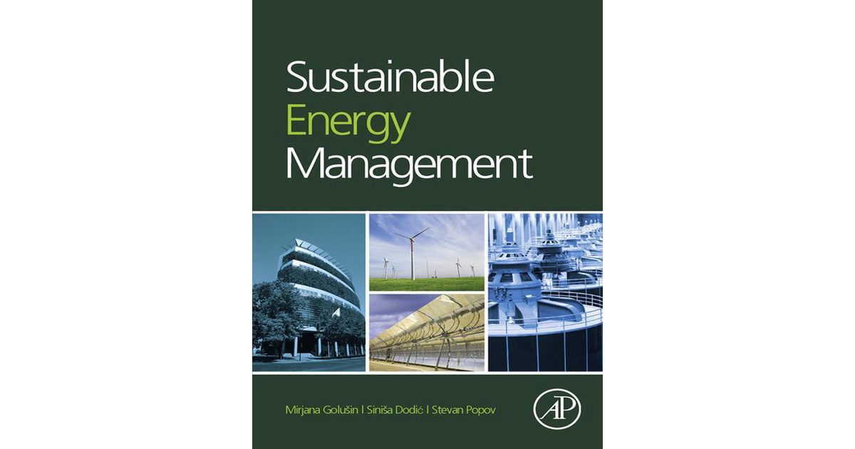 Sustainable Energy Management [Book]