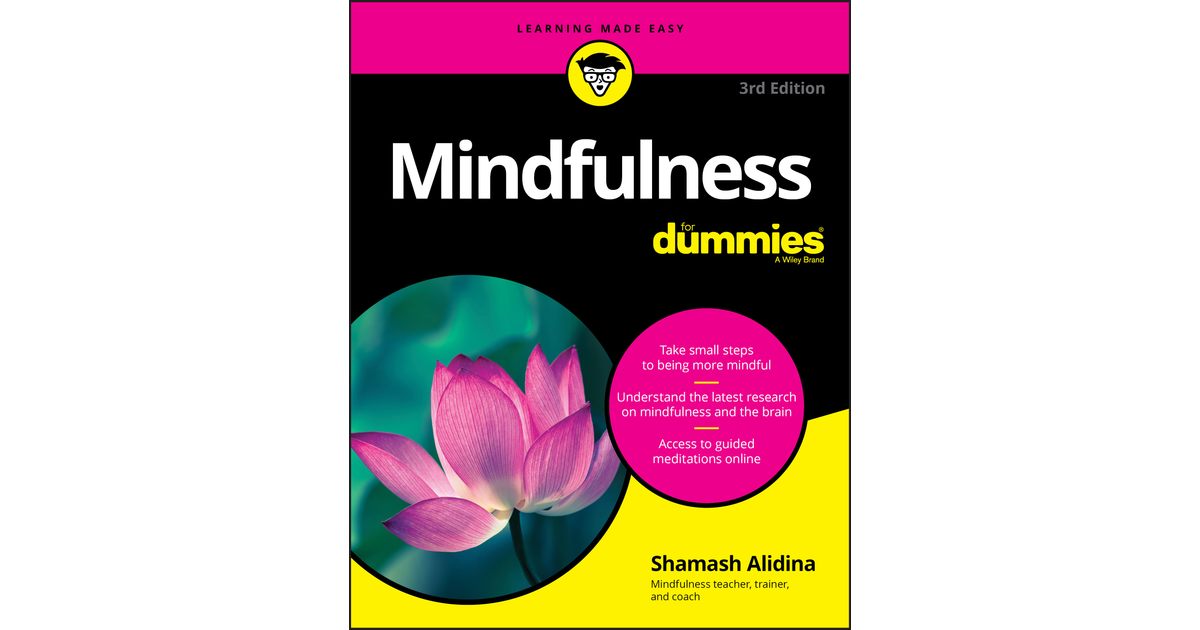 Mindfulness For Dummies, 3rd Edition [Book]