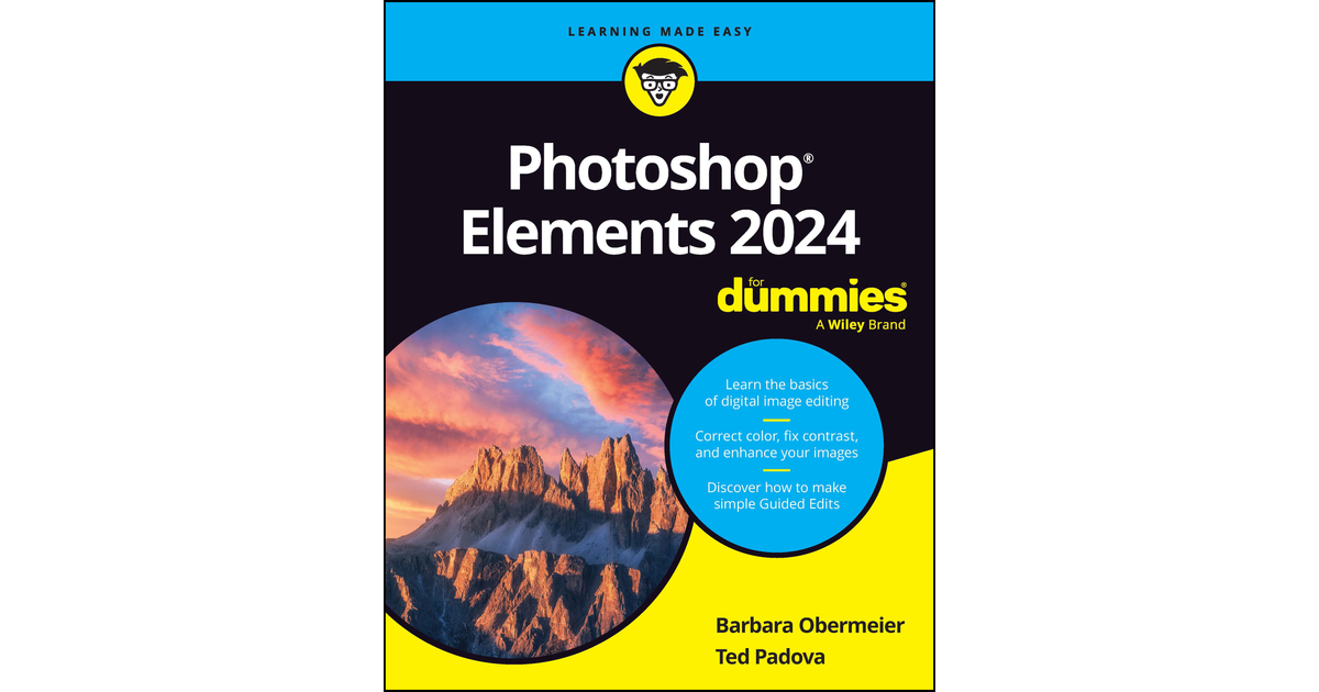 Introduction Elements 2024 For Dummies [Book]