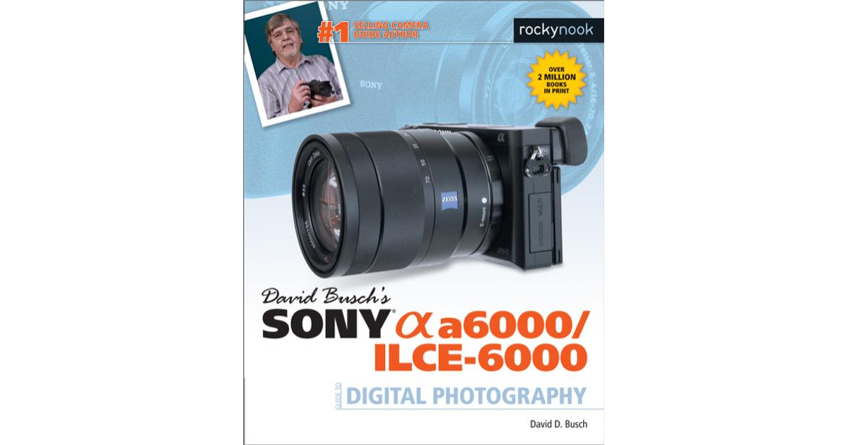 David Busch's Sony Alpha A6600/Ilce-6600 Guide to Digital Photography -  (The David Busch Camera Guide) by David D Busch (Paperback)