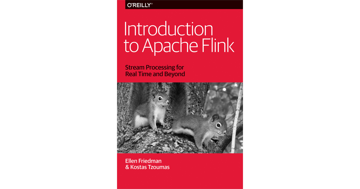 Introduction To Apache Flink[Book]