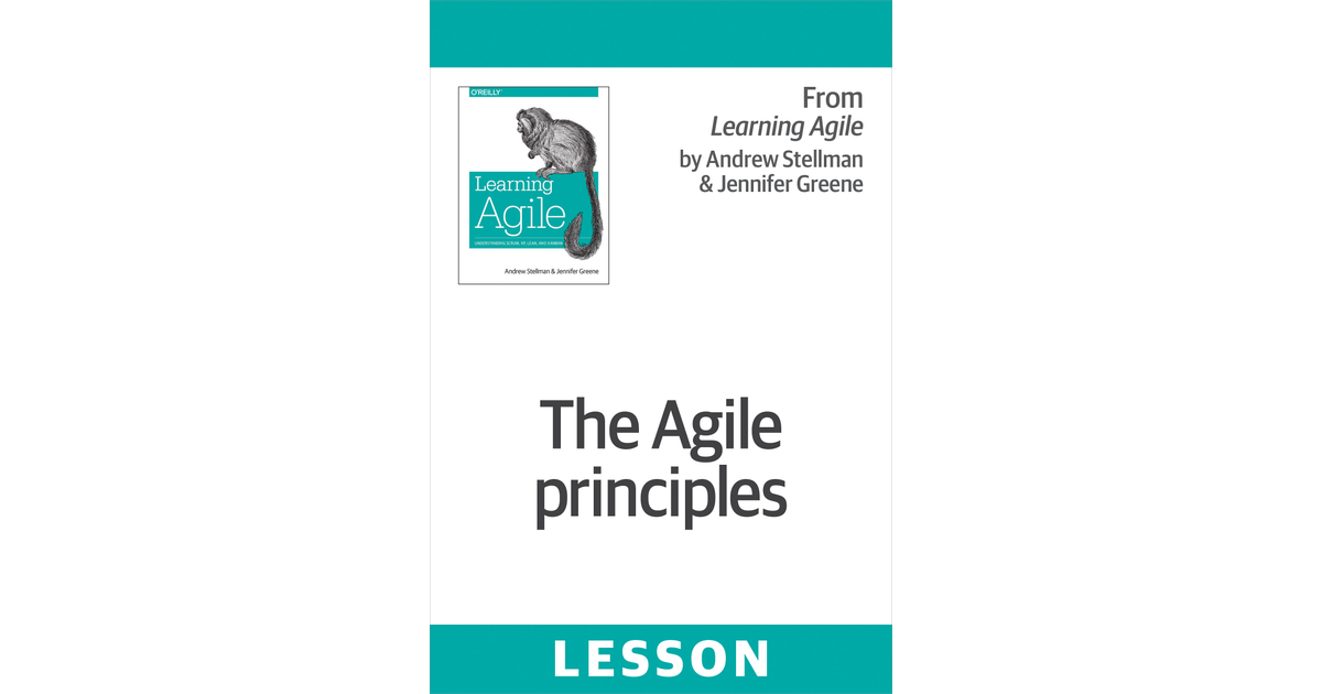 The Agile principles [Book]