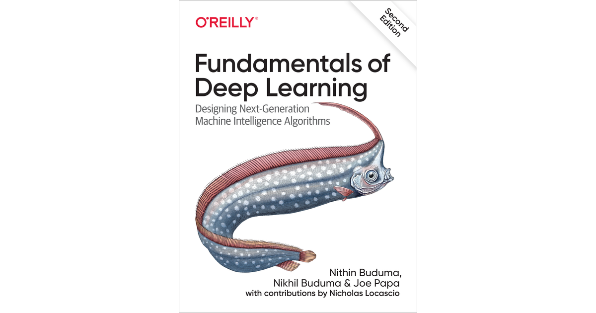 Fundamental best sale deep learning