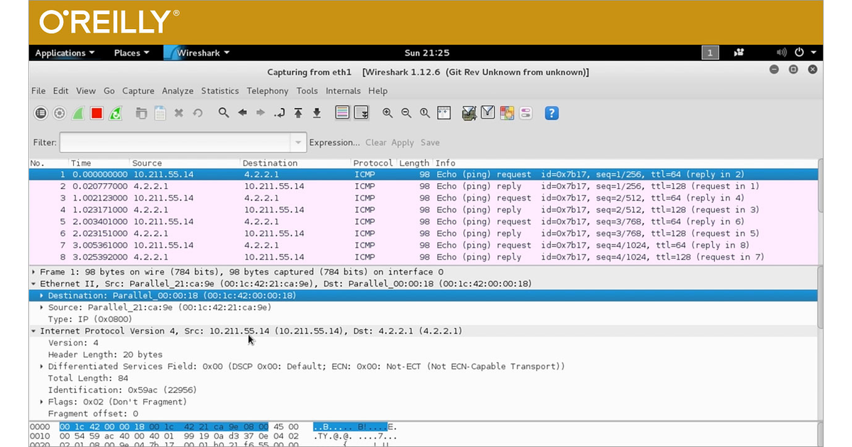 Introduction To Penetration Testing [Video]