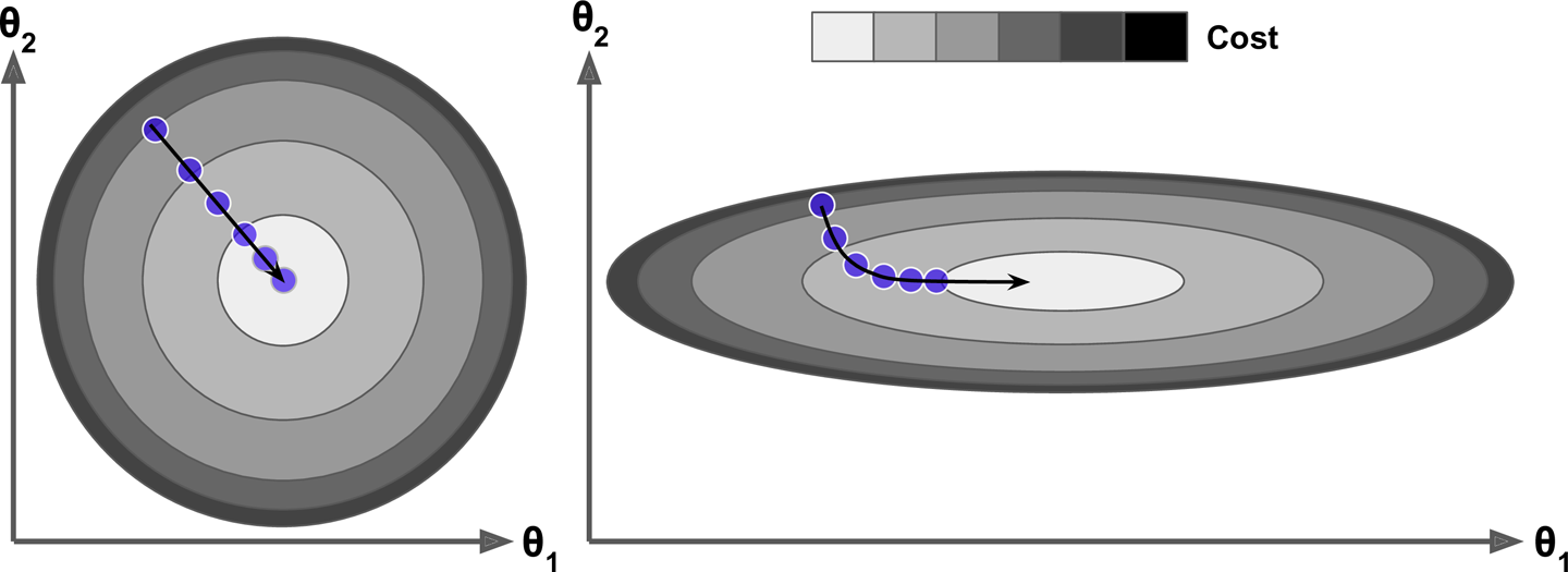 scale