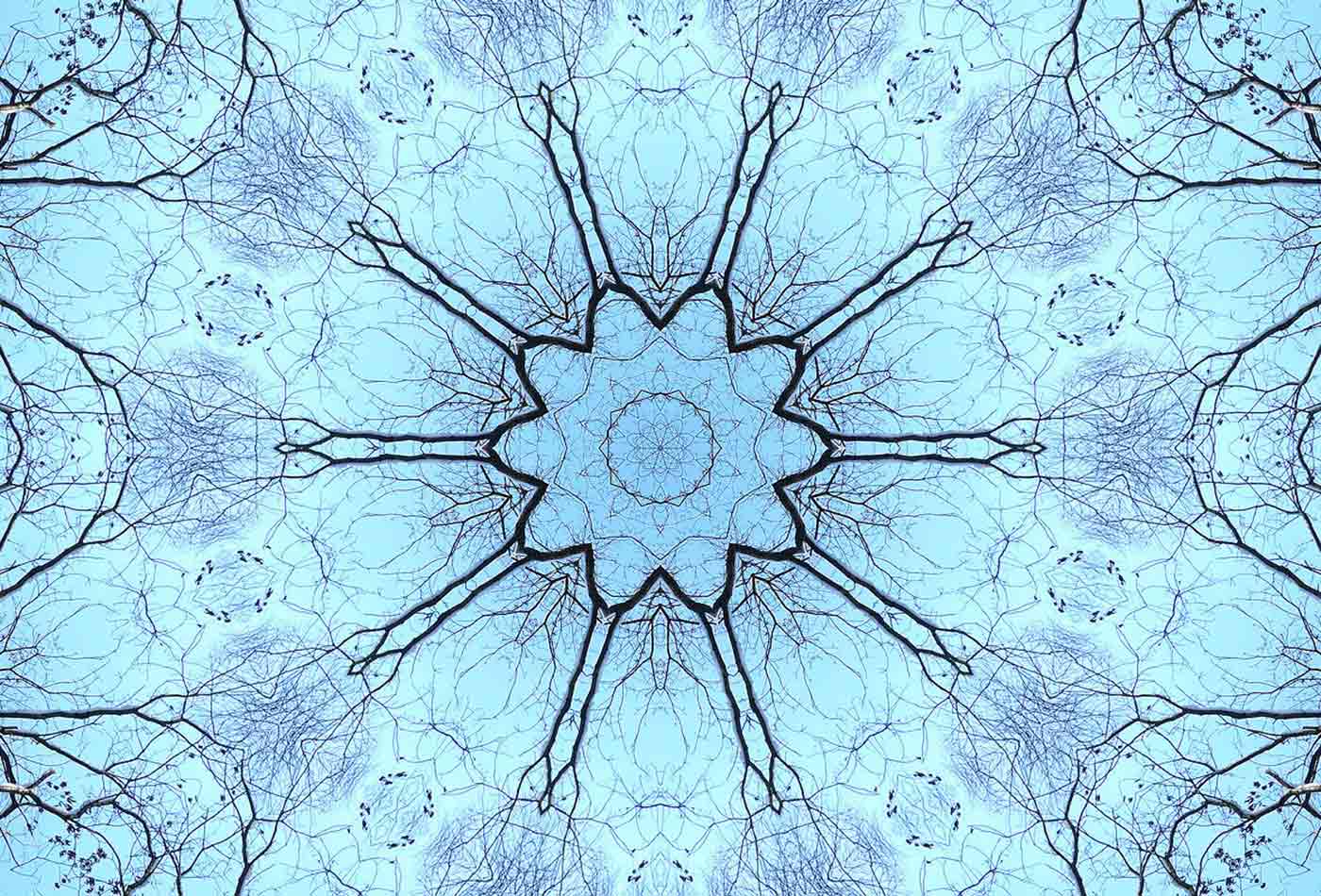 Nature-kaleidoscope.